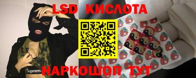 МДПВ Новокубанск