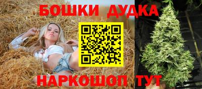 МДПВ Новокубанск