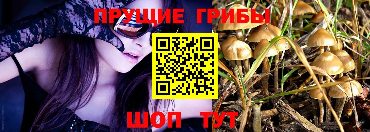 Псилоцибиновые грибы GOLDEN TEACHER Сергиев Посад